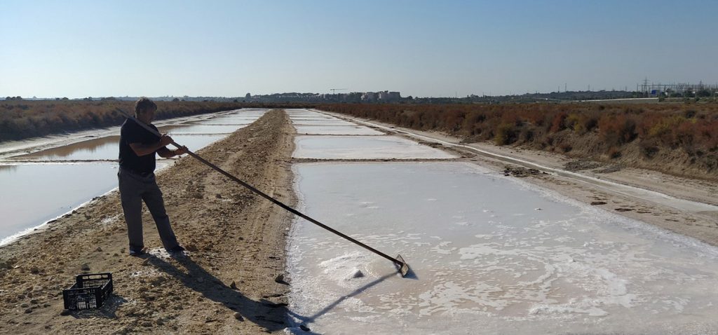 Seminario “Salinas artesanales y Economía azul. Innovación para el siglo XXI” ¿Te apuntas?