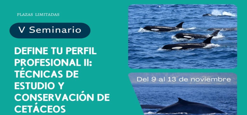 Impulsa tu perfil profesional: IV Edición del Seminario de Cetáceos y Fauna Marina