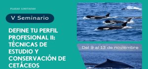 Impulsa tu perfil profesional: IV Edición del Seminario de Cetáceos y Fauna Marina